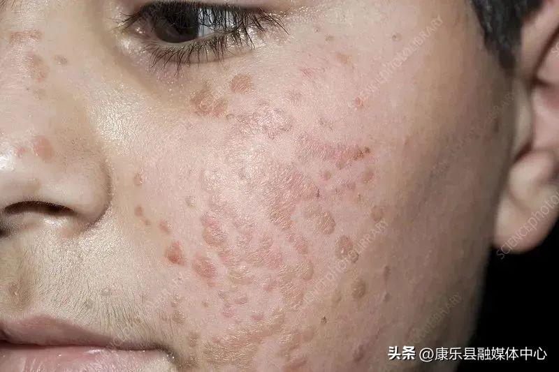 第683页